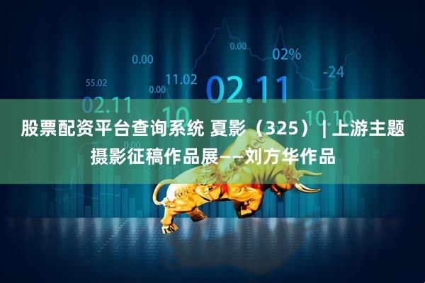 股票配资平台查询系统 夏影（325） | 上游主题摄影征稿作品展——刘方华作品