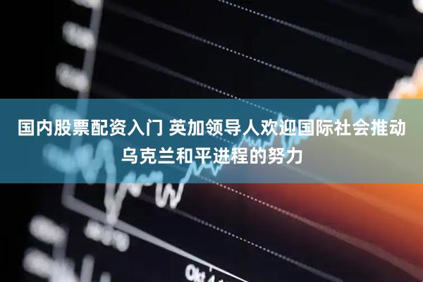 国内股票配资入门 英加领导人欢迎国际社会推动乌克兰和平进程的努力